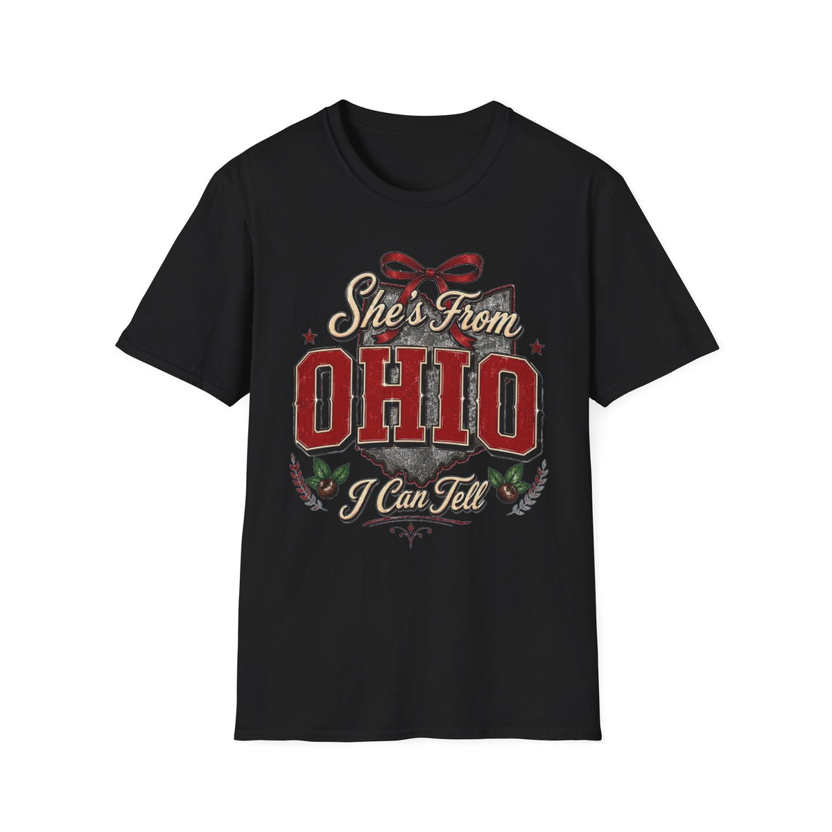From Ohio T-Shirt